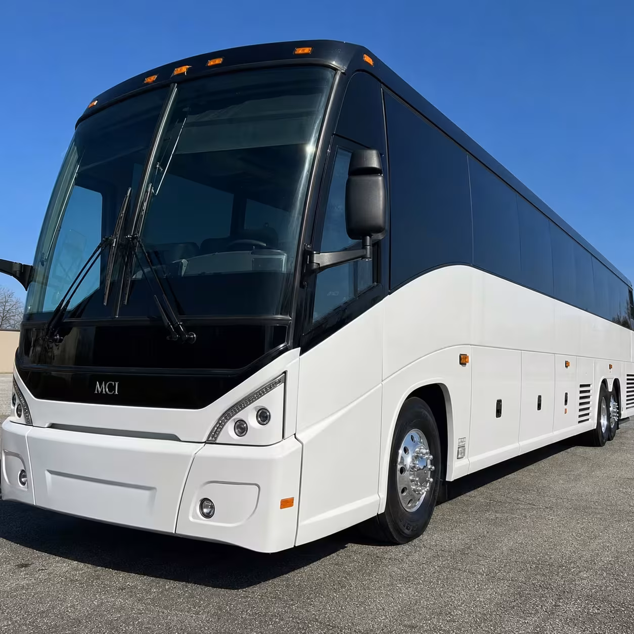 vista minibus rentals for san diego cruise and airport transfers